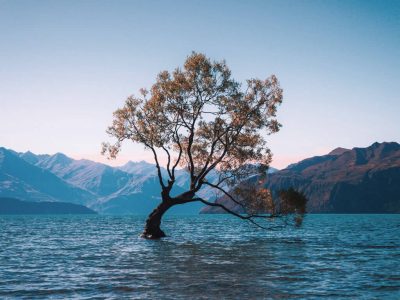 blog-10