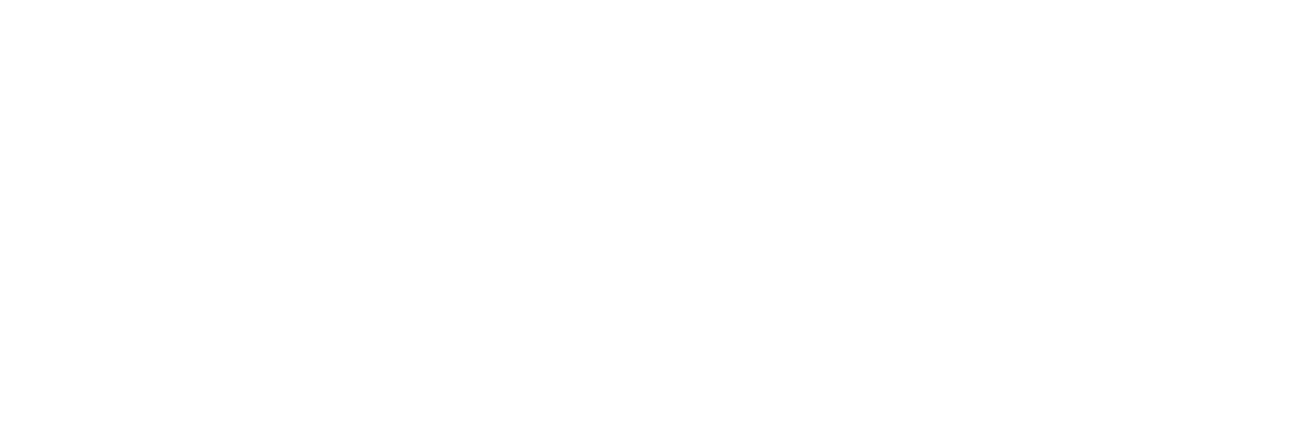 Askaris Cyber Security